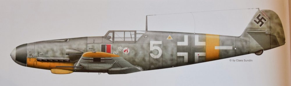 Bf 109 G-2 White 5 color profile.jpg