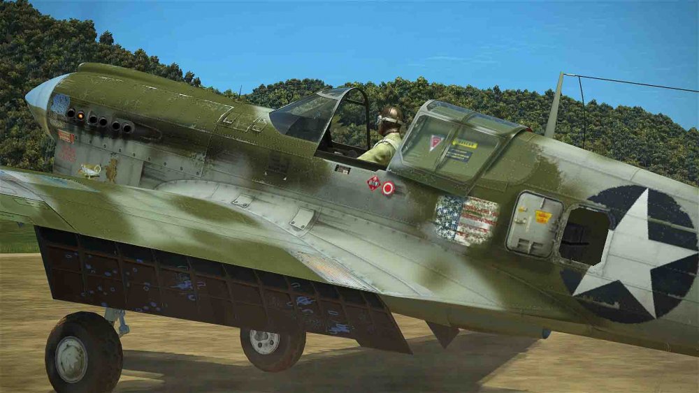 pacific camo (2).jpg