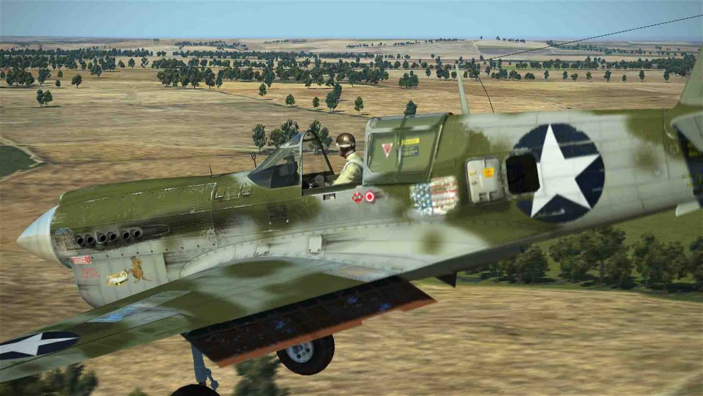 pacific camo (9).jpg