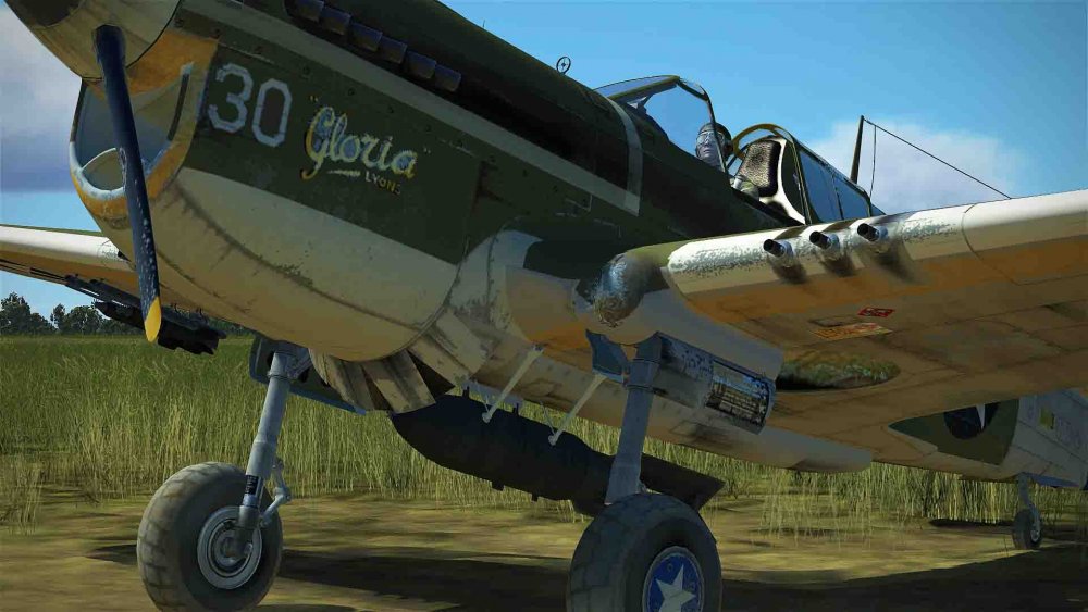 u.s.a green gloria (1).jpg