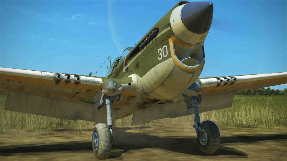 u.s.a green gloria (6).jpg