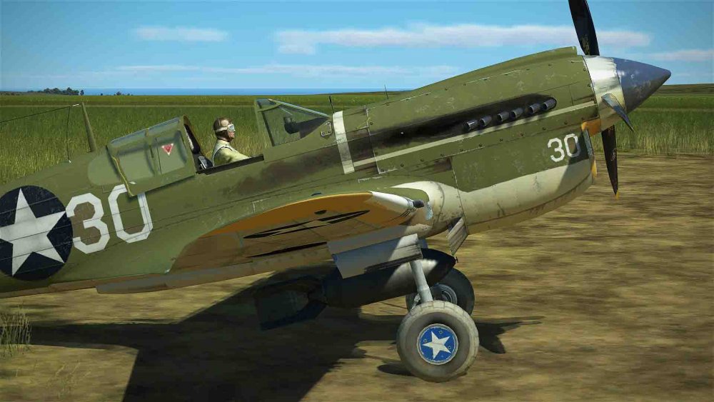 u.s.a green gloria (7).jpg