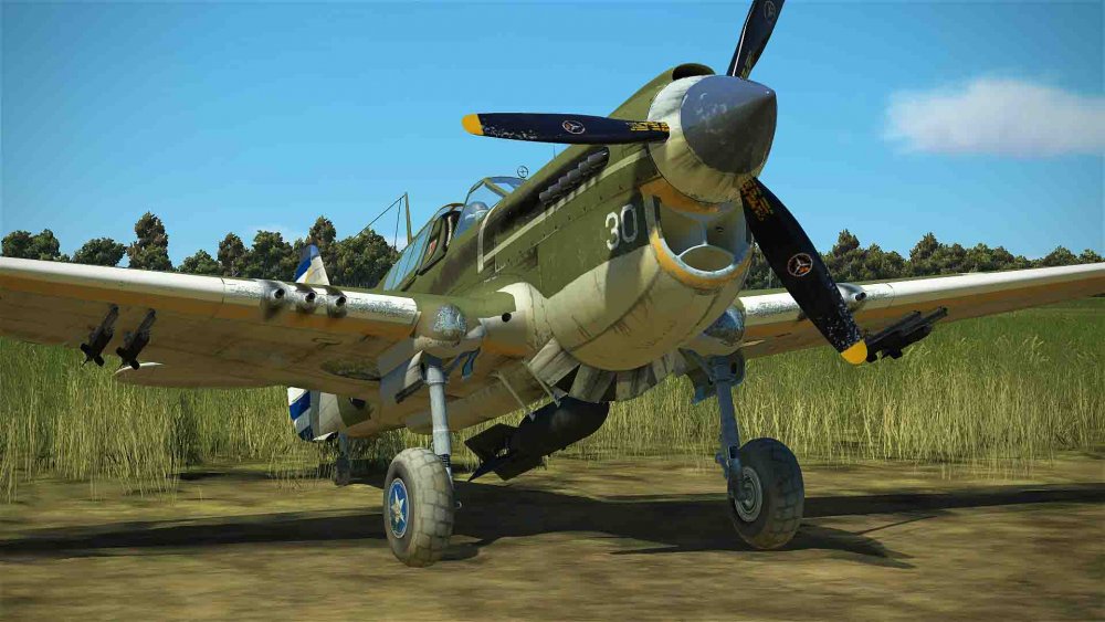 u.s.a green gloria (8).jpg