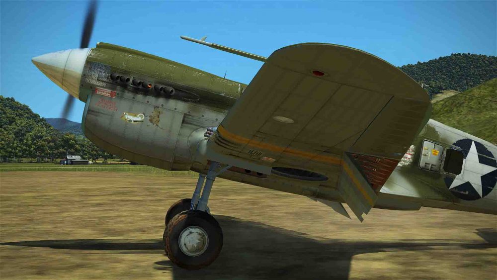 pacific camo (3).jpg