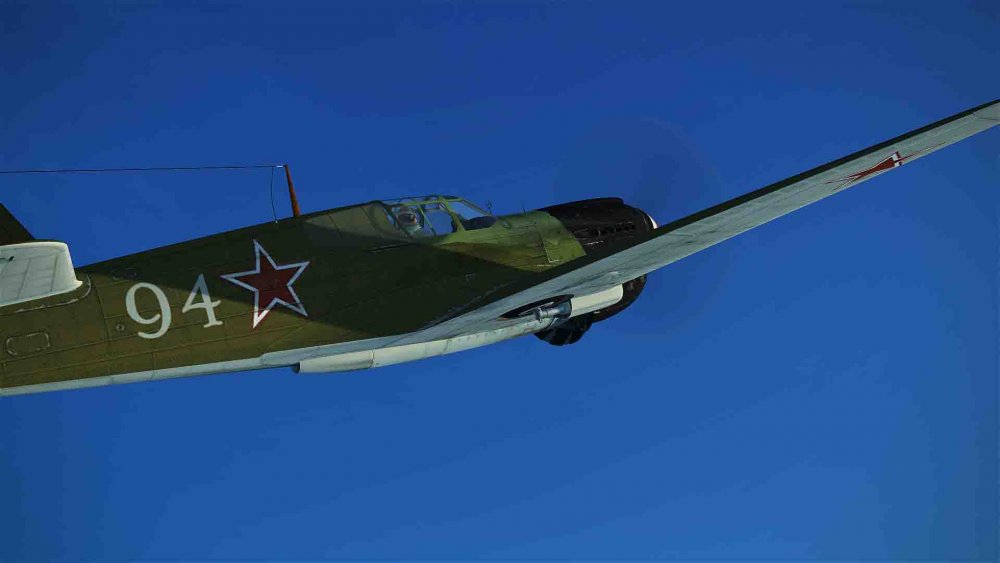 russian green leaf (4).jpg