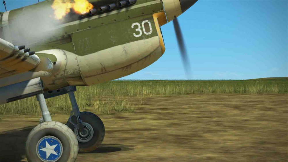 u.s.a green gloria (3).jpg