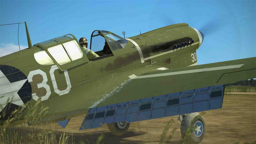 u.s.a green gloria (4).jpg