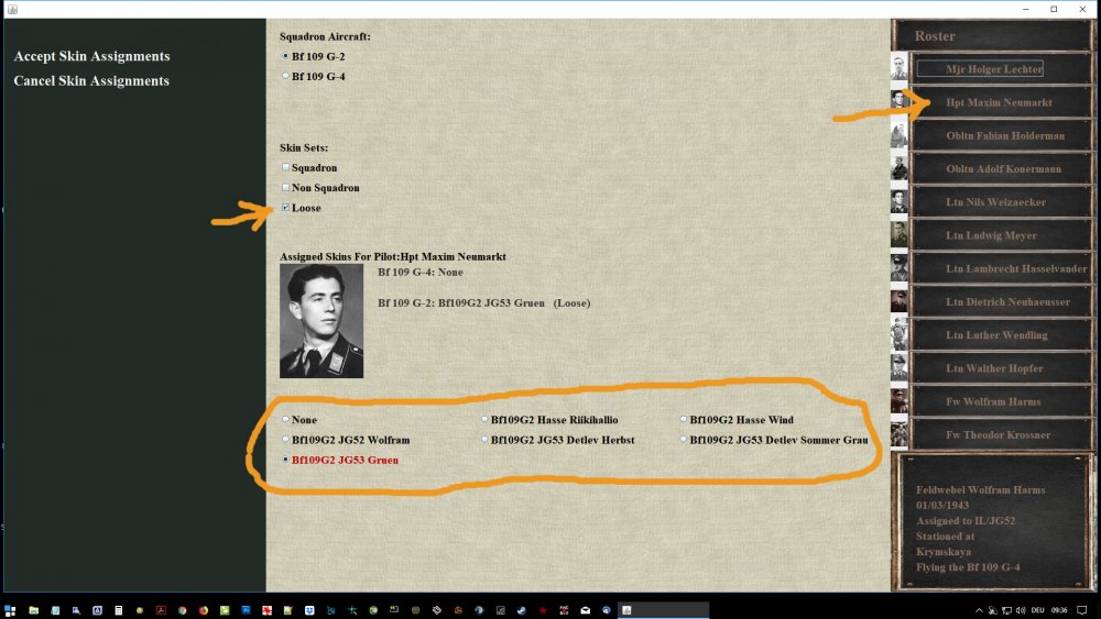 PWCG Skin selection.jpg