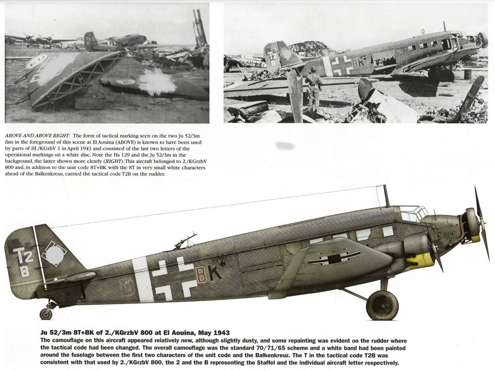 Junkers-Ju-52-3m-2.KGrzbV800-(8T+BK)-captured-El-Aouina-Tunisia-1943-0A.jpg