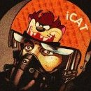 LF_icat