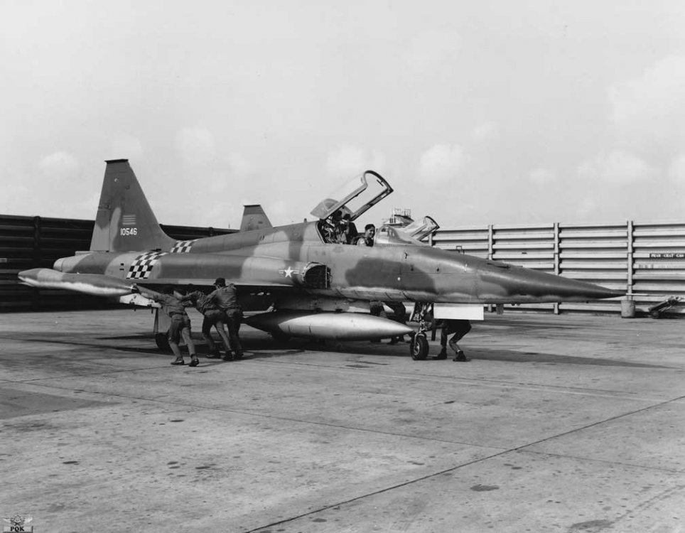 Northrop F-5C Skoshi Tiger (1).jpg