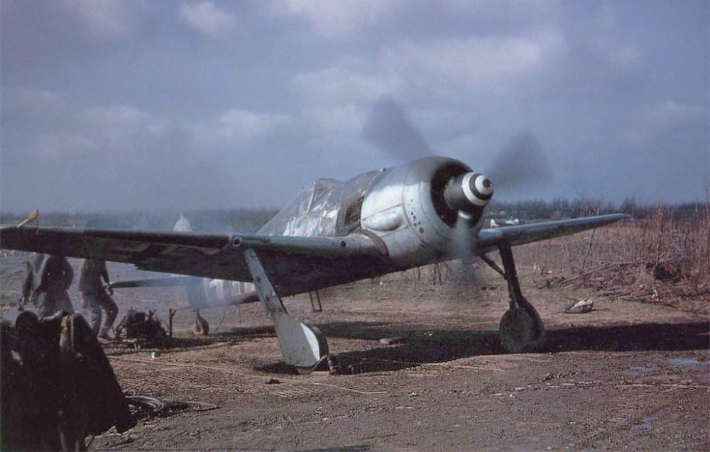 2128642679_Fw190A-8_R2.thumb.jpg.5e09d223c415938ea4cfca57be3afbec.jpg