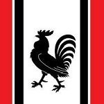 J5_Gamecock