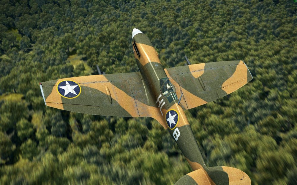 Il-2 2018-07-29 11-35-15-07.jpg