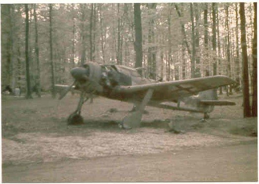 fw190.jpg.182c3b9dd1d0768c7d6f2ddb4fe420e3.jpg