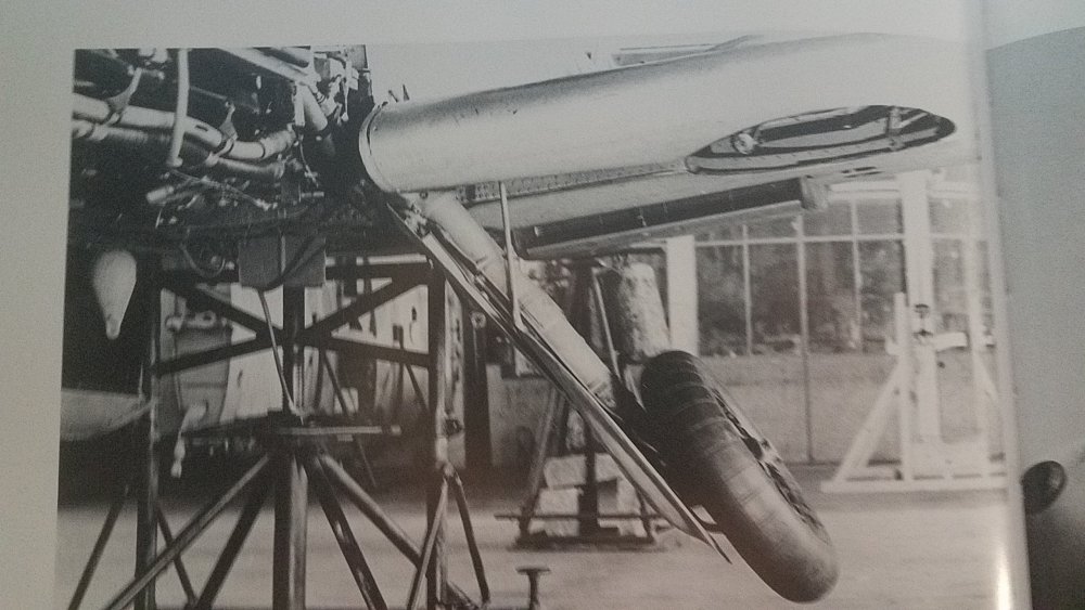 20180821_141059 (2).jpg