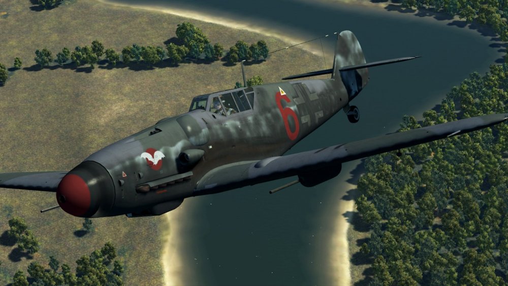 180821-BF109G6-001.thumb.jpg.25478fa600b8df5ac2b10b0301a8abd8.jpg