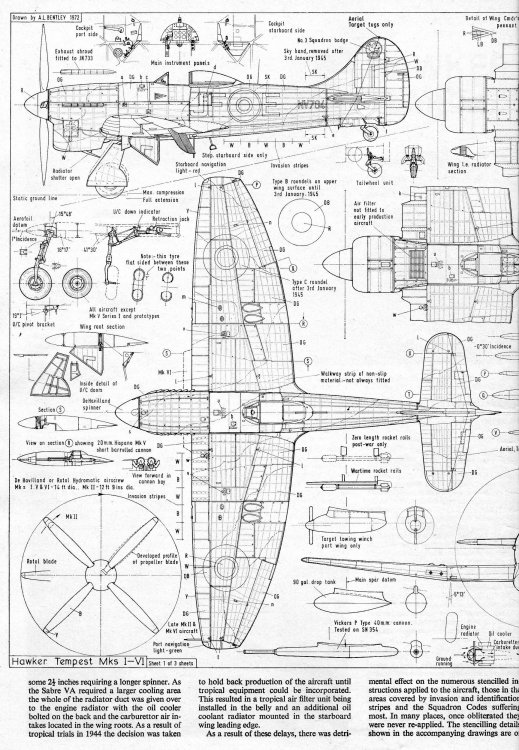 1-1-Tempest spring006-001.jpg