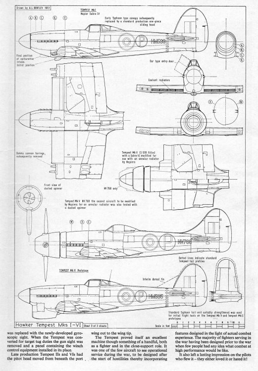 1-1-Tempest spring009.jpg