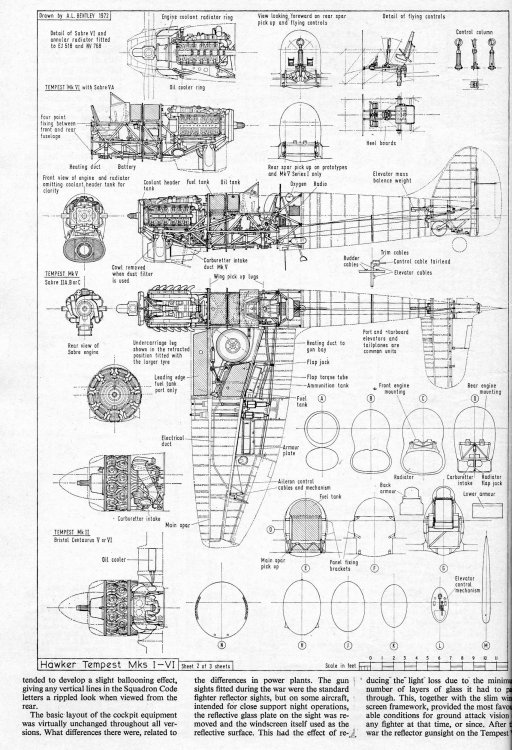 1-1-Tempest spring008.jpg