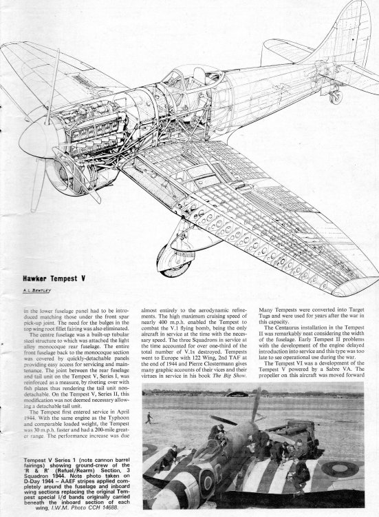 1-1-Tempest spring005.jpg