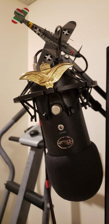 Magyar Blue Yeti.jpg