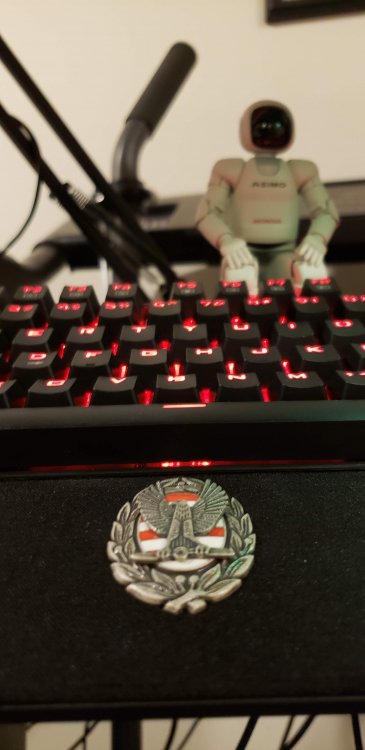 Sim Rig Légierő.jpg