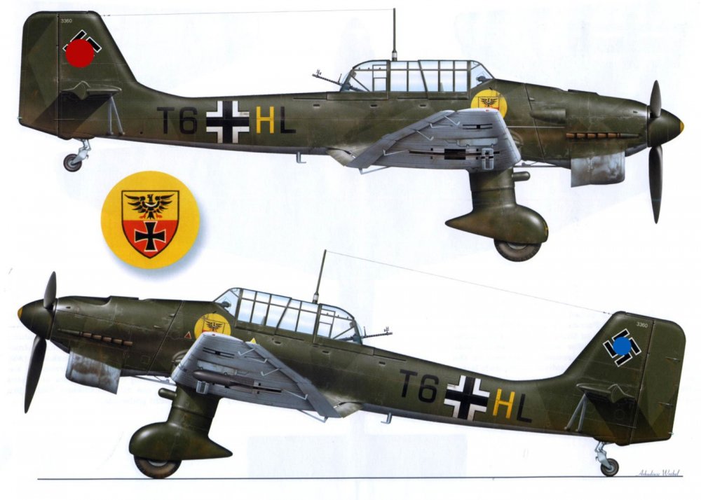 Artwork-Junkers-Ju-87B2-Stuka-3.StG2-(T6+HL)-France-1940-0C.jpg