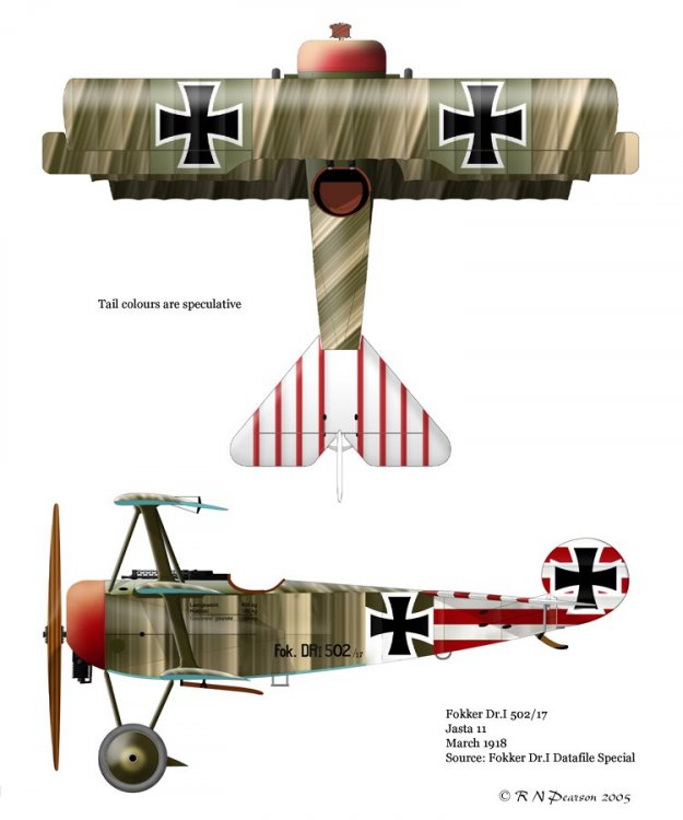BP_Fokker Dr.I Js11-502_17.jpg