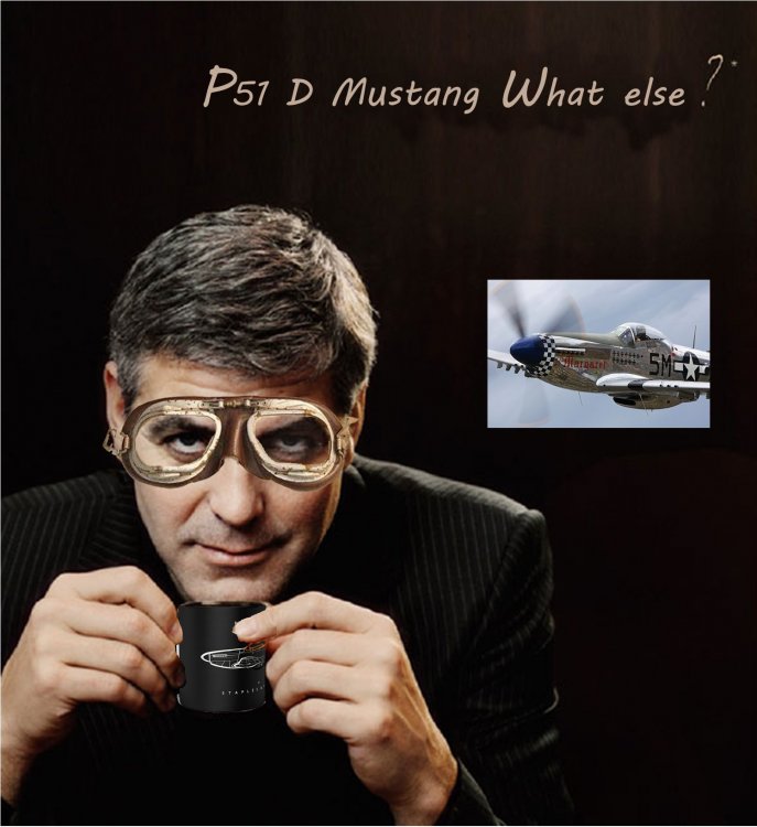 P51-D What Else.jpg