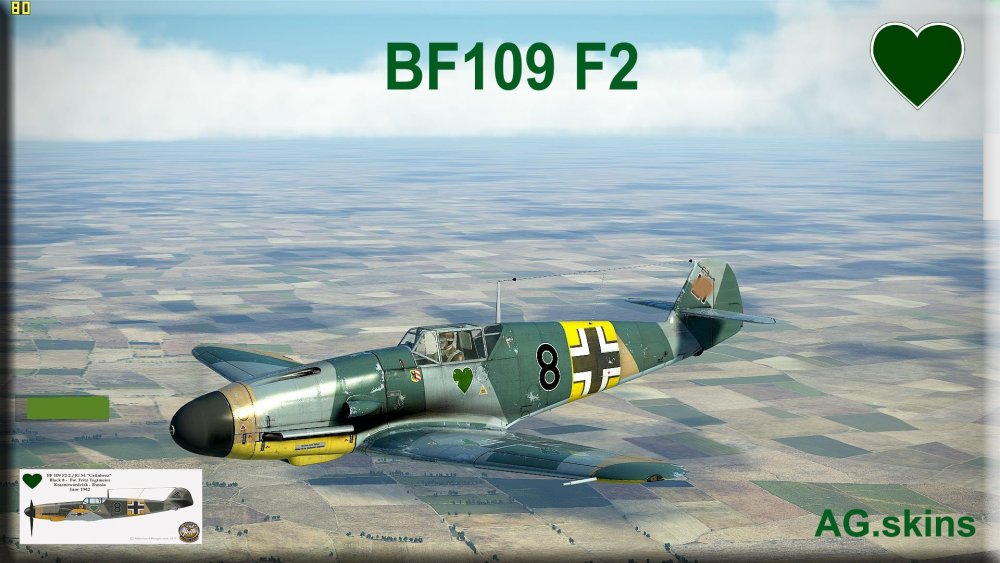 interface BF109 F2 2 JG54 no s.jpg
