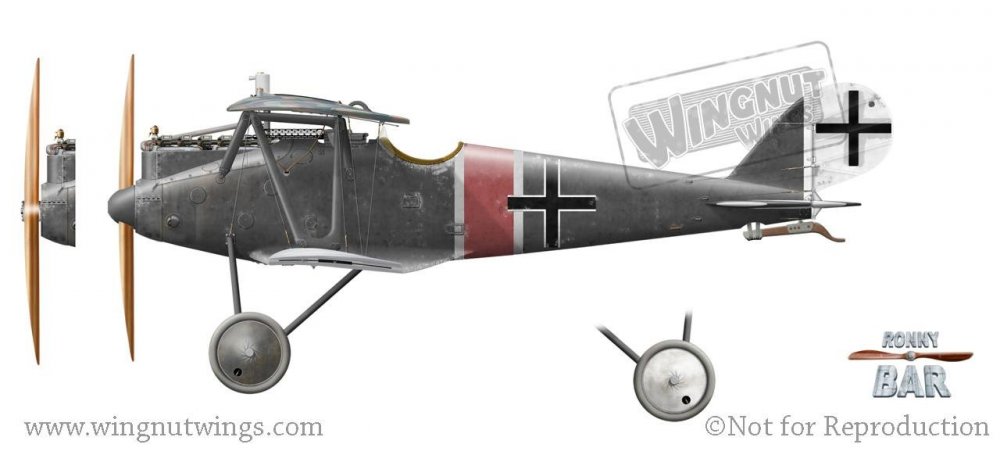 Pfalz D.IIIa, Jasta 37, Late 1918.jpg