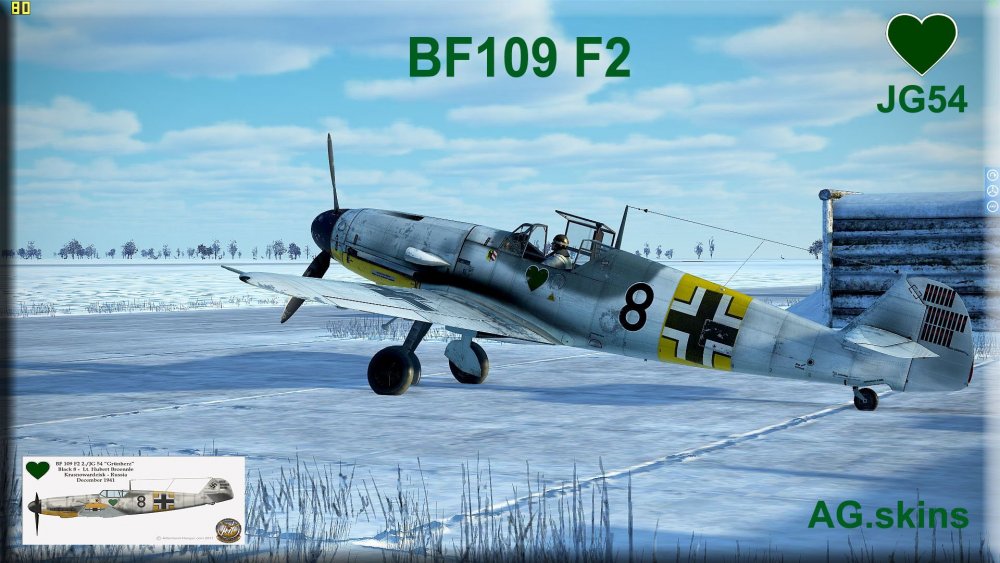 interface BF109 F2 2 JG54 winter.jpg