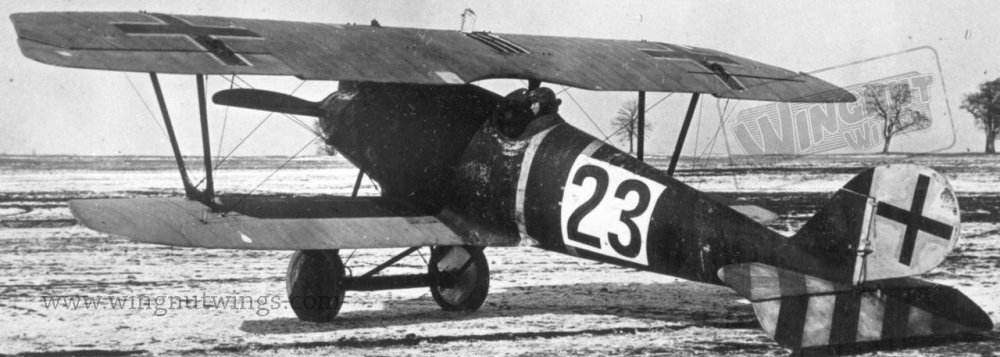 Pfalz D.IIIa ex-Jasta 37 now with Jastaschule markings (Greg Van Wyngarden).jpg