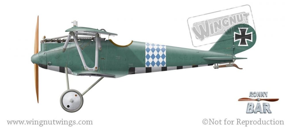 Pfalz D.IIIa 5895_17, Franz Hailer, Jasta 29, Late 1917- Early 1918.jpg