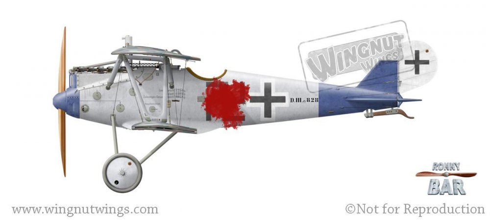 Pfalz D.IIIa 8284_17, Jakob Pollinger, Jasta 77b, May 1918.jpg