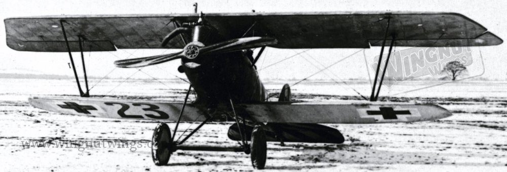 Pfalz D.IIIa ex-Jasta 37 now with Jastaschule markings (AL0714-029 ).jpg