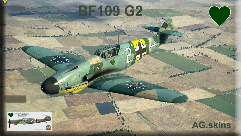 interface BF109G2 no s.jpg
