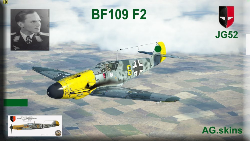 interface BF109 F2  JG51 no s.jpg