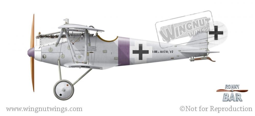 Pfalz D.IIIa 8178_17, Rudolf Stark, Jasta 34b, May 1918 (11 victories).jpg