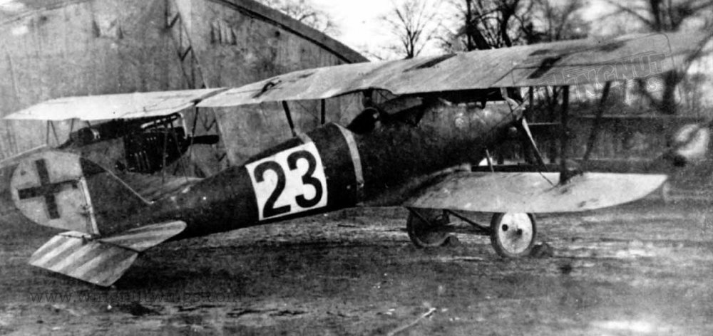 Pfalz D.IIIa ex-Jasta 37 now with Jastaschule markings (01).jpg