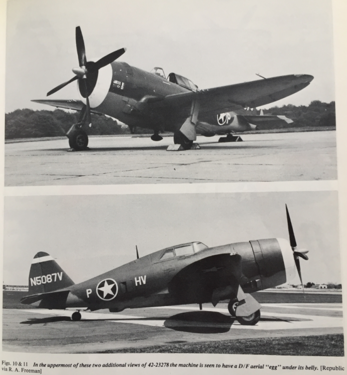 P-47 factory fresh.png