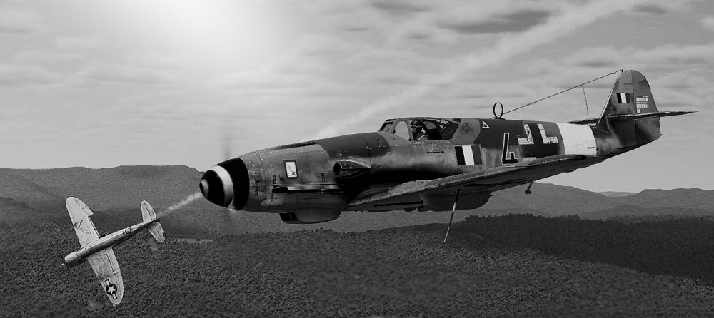 ANR 109K-P-47 -2.jpg