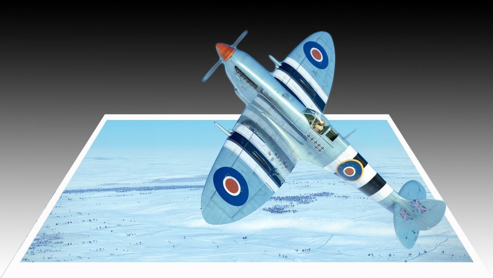 my photo recon spit.jpg