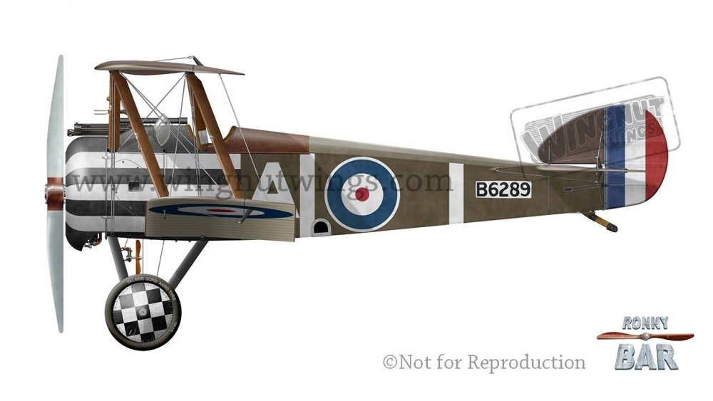 D_Sopwith F.1 Camel B6289.jpg