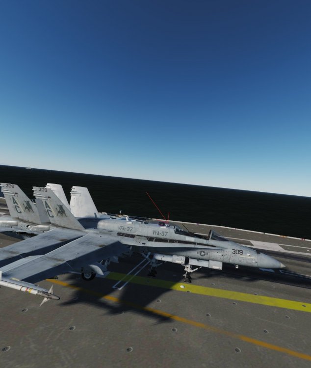 DCS1.jpg