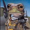 MrFroggyCanuck