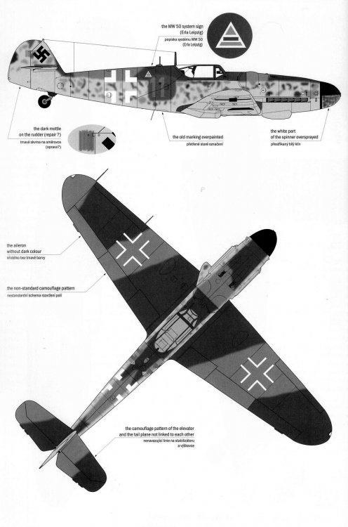 Messerschmitt-Bf-109G14U4-Erla-3.JG52-Yellow-11-Deutsch-Brod-1945-0B.thumb.jpg.fef2af968bd0b736e17b27ad8f46f546.jpg