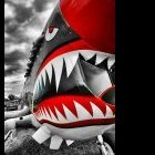 Sharkzz