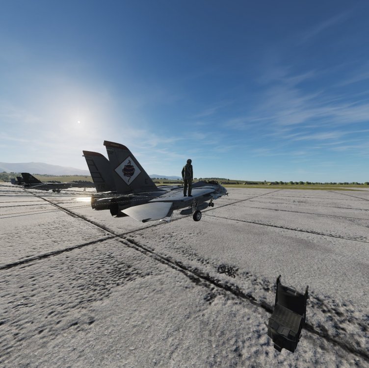 DCS.jpg